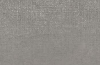 Lea Ceramiche Slimtech Take Care C-Steel Nat 5 Plus 100х150