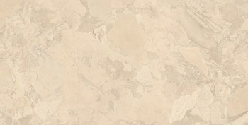 Керамогранит K017 Arkigem Cappuccino Ret 60х120