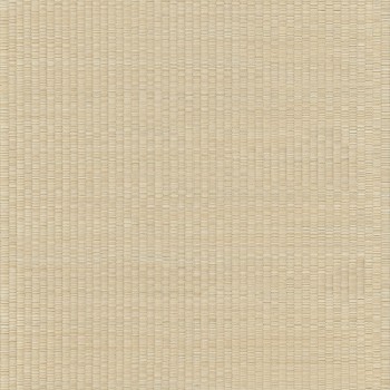 Керамогранит CNM3 Shiki SH04 Alba SP SQ 60х60