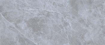 NEODOM Belgium Grey Polished 120х270