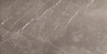 Керамогранит Cromat Piave Argent 45х90 Керамогранит Cromat Piave Argent 45х90