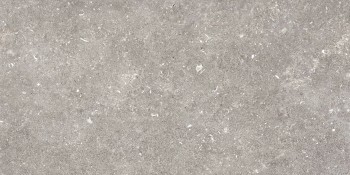 Керамогранит 096.022.0002.00206 Dover Gris MT Rect 60х120
