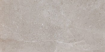 Pamesa Ceramica ES.ERDING ASH LUXGLASS 60x120