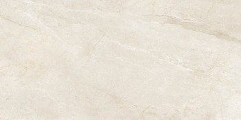 Pamesa Ceramica CR.WELLS M IVORY MATE RECTIFICADO 60x120(n) 9 мм