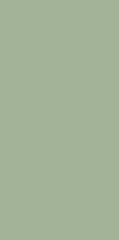 Плитка Paradyz Feelings Green Sciana Rekt. 29.8х59.8