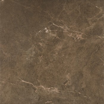 Керамогранит Paradyz 53954 Ibis Brown Gres Szkl Mat 60х60