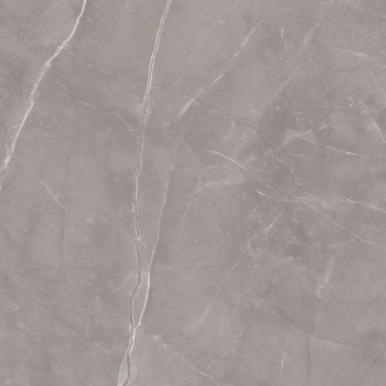 Paradyz Ritual Grey Mat 120х120 Paradyz Ritual Grey Mat 120х120