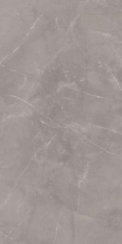 Paradyz Ritual Grey Mat 60х120 Paradyz Ritual Grey Mat 60х120