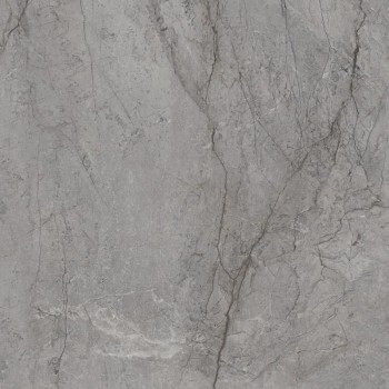 Paradyz Visioner Grey Poler 120х120