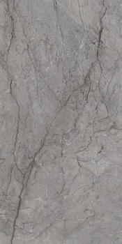 Paradyz Visioner Grey Poler 60х120