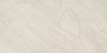 Керамогранит ENRJ Grigio Conchiglia Silktech Rett 60х120 Керамогранит ENRJ Grigio Conchiglia Silktech Rett 60х120