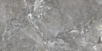 Rex Onyx&More Silver Porphyry Strutturato 6mm 120х238