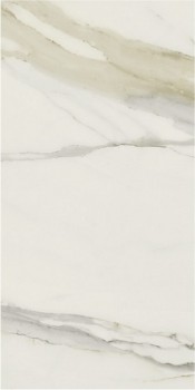 Rex Magnum Classici Calacatta Gold Glossy Полированный 120x240