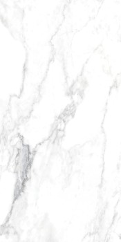 Rondine (RHS) CANOVA ARABESCATO RET 60x120 8,5 мм Rondine (RHS) CANOVA ARABESCATO RET 60x120 8,5 мм