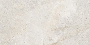 Rondine (RHS) CRUST LIGHT GREY RET 60x120 8,5мм Rondine (RHS) CRUST LIGHT GREY RET 60x120 8,5мм