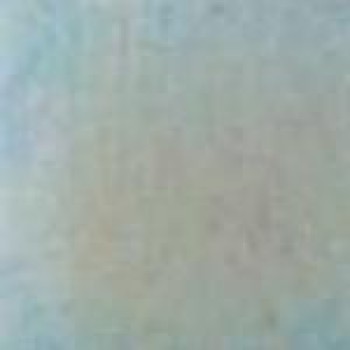 Rose Rainbow Mosaic WA02 32,7x32,7