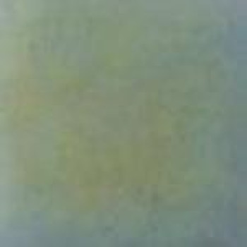 Rose Rainbow Mosaic WA30 32,7x32,7