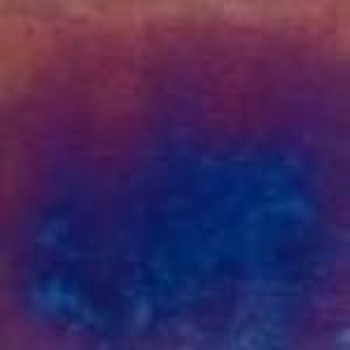 Rose Rainbow Mosaic WA45 32,7x32,7