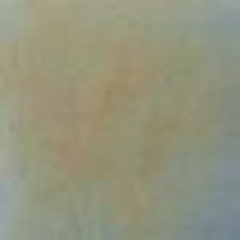 Rose Rainbow Mosaic WB85 32,7x32,7