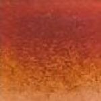 Rose Rainbow Mosaic WB92 32,7x32,7