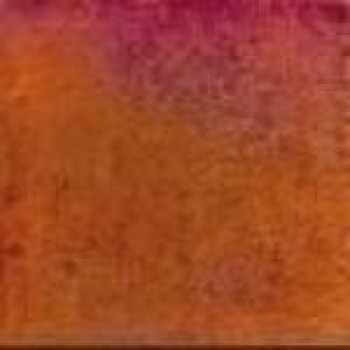 Rose Rainbow Mosaic WB95 32,7x32,7
