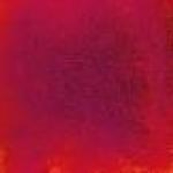 Rose Rainbow Mosaic WB96 32,7x32,7