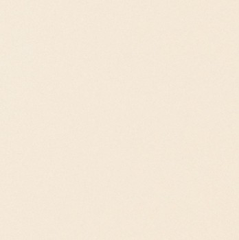Seranit Heavy Duty Base BEIGE1 Rectified Matt 20,2x20,2