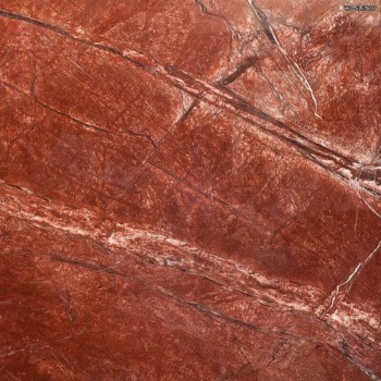 Seranit Seramarmi Red Polished 60x60