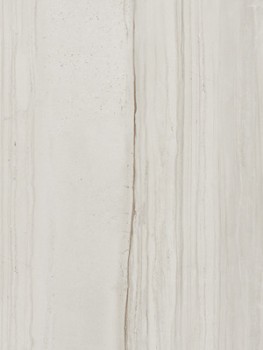Serra Eleganto 541 Base Grey Glossy 40x80