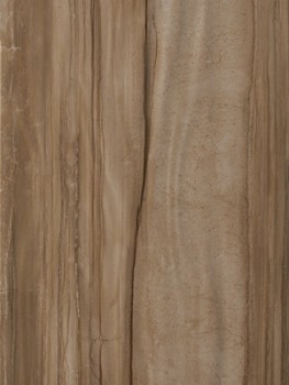 Serra Eleganto 541 Decor Brown Glossy 40x80
