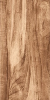 Serra Loft Wood Base Brown Glossy 40x120
