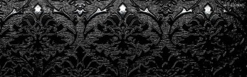 Serra Lotus Black Glossy 30x90 Serra Lotus Black Glossy 30x90
