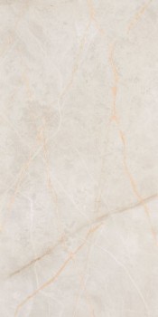 Serra Paris Base Grey Glossy 40x120