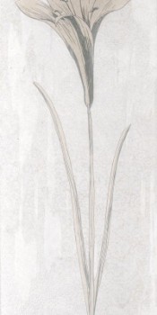 Serra Shabby Chic Flower 1 Decor White Matt 30x90 Serra Shabby Chic Flower 1 Decor White Matt 30x90