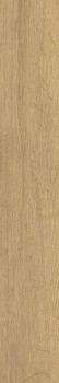 Керамогранит SGR29 Aurevia Gold 9.2х60 Керамогранит SGR29 Aurevia Gold 9.2х60