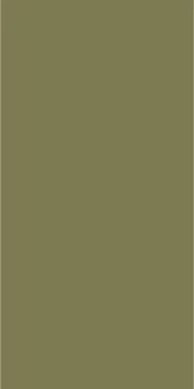 Керамогранит Staro Slim Monocolors Elite Avocado 5 мм Matt 60х120