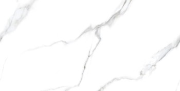 Керамогранит Statuario Carvino Matt 60х120