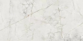 Керамогранит Balance Stone Pol 119,8х59,8 Керамогранит Balance Stone Pol 119,8х59,8
