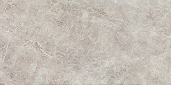 Керамогранит Root grey Mat 119.8х59.8