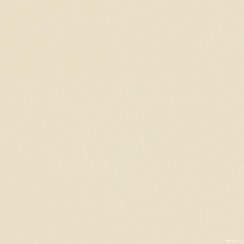 Venatto Blanco Perla 40x40