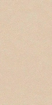 Versace LEATHERWOOD CUIR BEIGE NAT.3D 60X120 8,5 мм