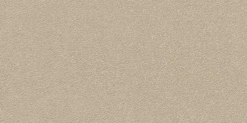 Керамогранит 48BR Duo-R Beige R12 29,3х59,3