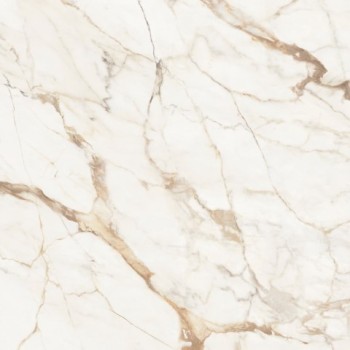 Urbatek Xlight Premium Calacatta Gold Polished 120x120 Urbatek Xlight Premium Calacatta Gold Polished 120x120