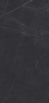 Xlight Liem Premium Black Nature 120x250