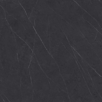 Xlight Liem Premium Black Polished 120x120