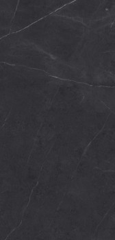 Xlight Liem Premium Black Polished 120x250