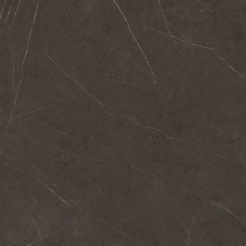 Xlight Liem Premium Dark Nature 120x120