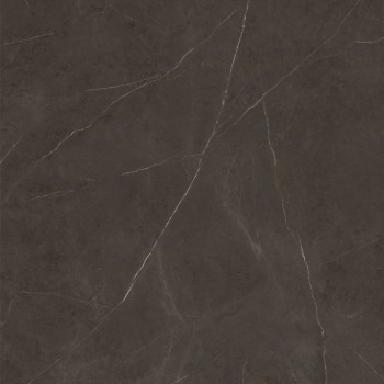 Xlight Liem Premium Dark Polished 120x120