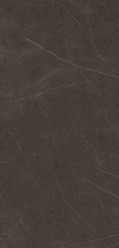 Xlight Liem Premium Dark Polished 120x250