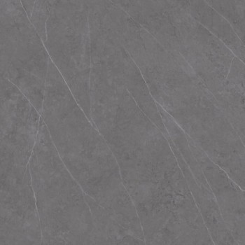 Xlight Liem Premium Grey Polished 120x120